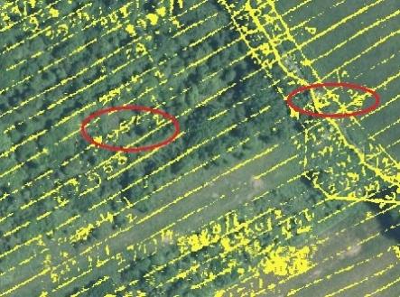 KN Zbytky map.list 4 - par. 2965_2 a 2964_2 | Prodej - pozemek, zemědělská půda, 15 294 m²