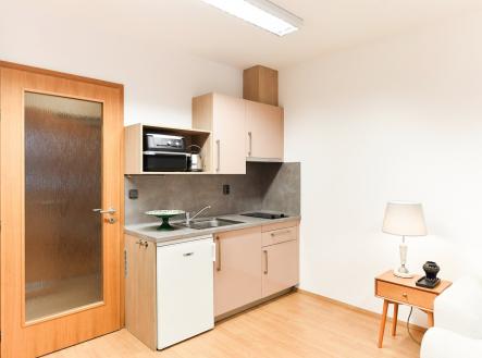 PEG_3774 | Pronájem bytu, 1+kk, 32 m²