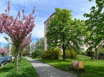 PEG_2738 | Prodej bytu, 2+1, 56 m²