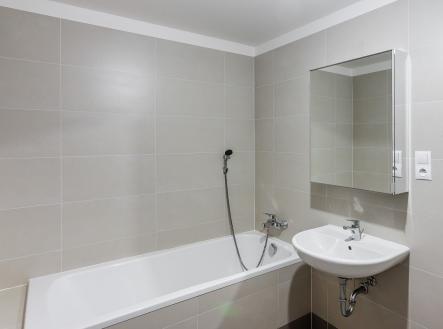 Zimova web (16) | Pronájem bytu, 2+kk, 56 m²