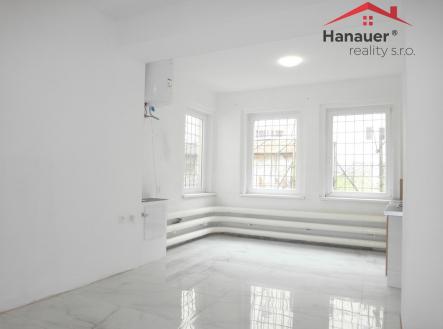 Obývací pokoj s kuchyňským koutem | Pronájem bytu, 2+kk, 52 m²