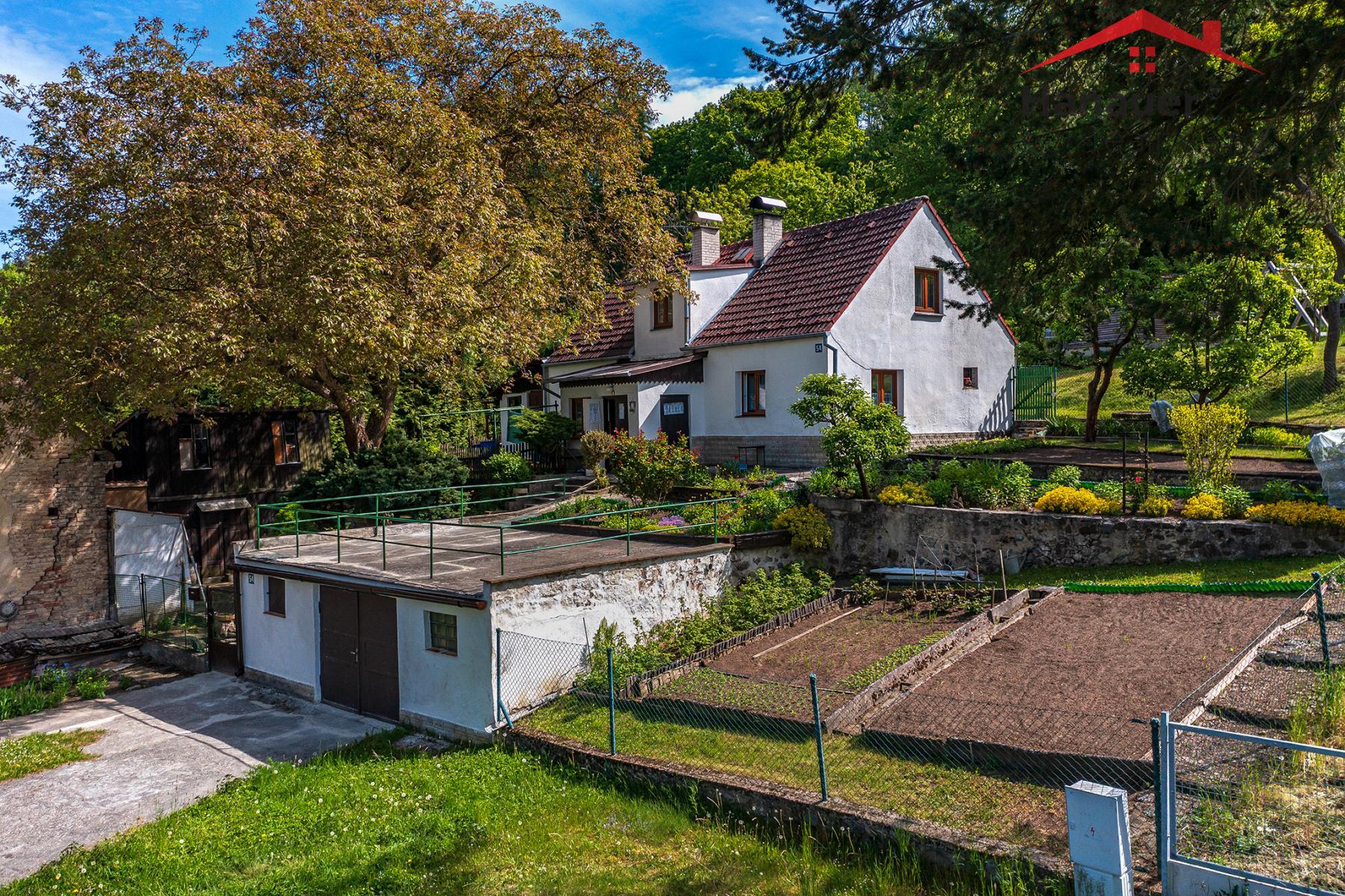 Leviün 54_11.jpg