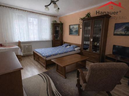 AA7E8EC1-C6F8-4D63-B649-C2CA407D6533.jpg | Pronájem bytu, 2+1, 51,3 m²