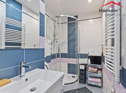 DSC09749.jpg | Pronájem bytu, 3+1, 87 m²