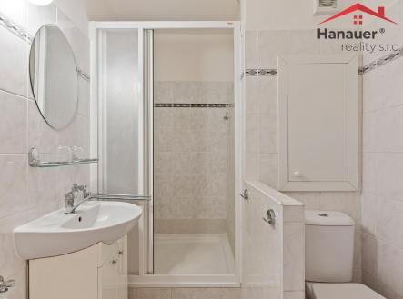 DSC09821.jpg | Pronájem bytu, 2+kk, 40 m²