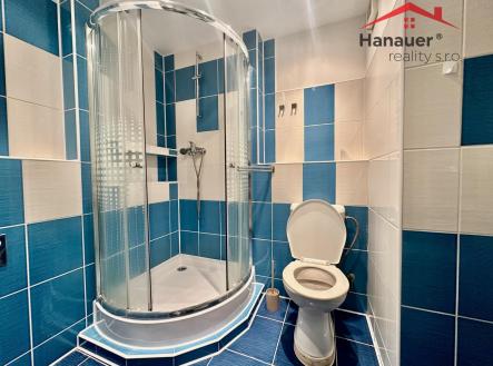 IMG_7245.jpeg | Pronájem bytu, 1+kk, 25 m²