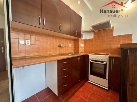 IMG_7237.jpeg | Pronájem bytu, 1+kk, 25 m²