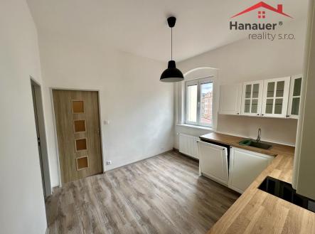 IMG_0058.jpeg | Pronájem bytu, 1+1, 47 m²