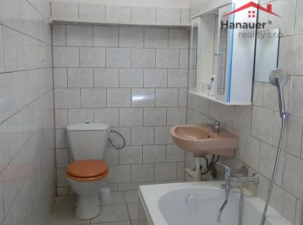 P4011015.JPG | Pronájem bytu, 2+1, 45 m²