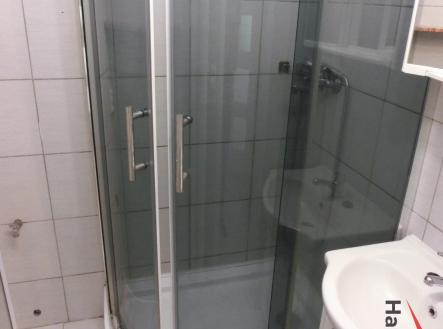 CIMG9918.JPG | Pronájem bytu, 3+1, 73 m²