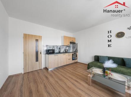 Cîsl. PartyzaünuŐ 375_27.jpg | Prodej bytu, 2+kk, 42,9 m²