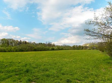 zahrada s pohled na lesy a trávník | Prodej - pozemek pro bydlení, 890 m²