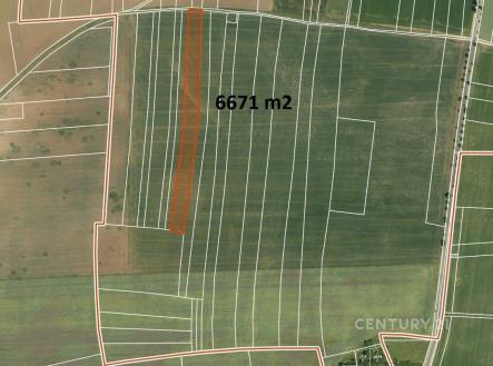 . | Prodej - pozemek, zemědělská půda, 6 671 m²