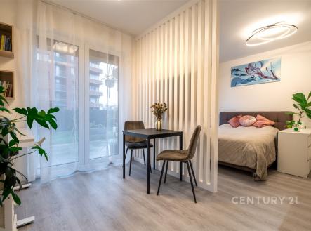 . | Pronájem bytu, 1+kk, 34 m²