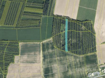 . | Prodej - pozemek, les, 4 433 m²