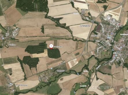 . | Prodej - pozemek, les, 4 433 m²