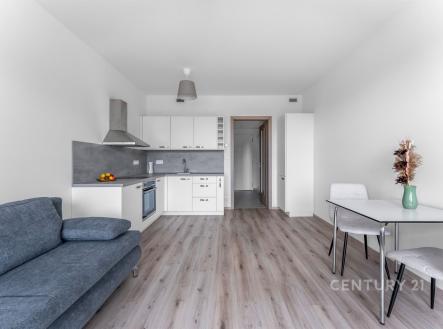 . | Pronájem bytu, 1+kk, 30 m²