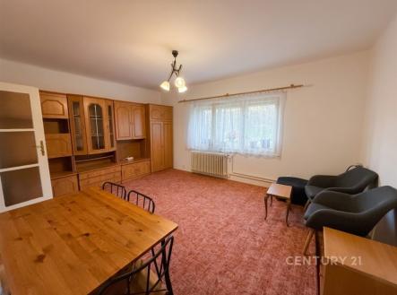 Obývací pokoj s výhledem do parku | Pronájem bytu, 2+1, 56 m²