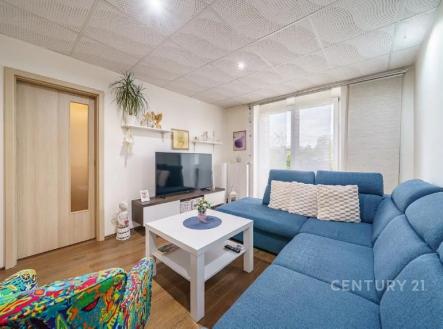 . | Pronájem bytu, 2+1, 53 m²