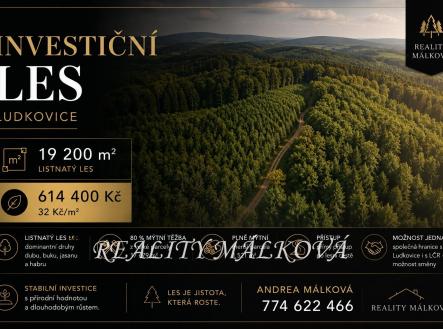 dbd49336-915a-4447-b2c3-f880da9d5644 | Prodej - pozemek, les, 19 200 m²