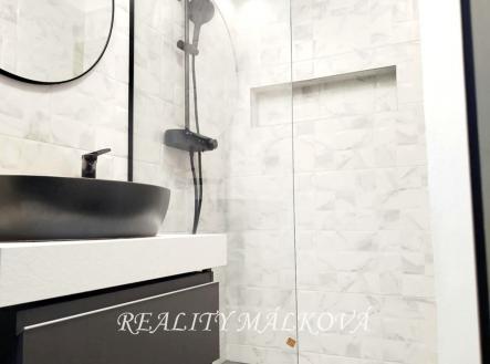 xgNCpX5l | Pronájem bytu, 1+kk, 37 m²