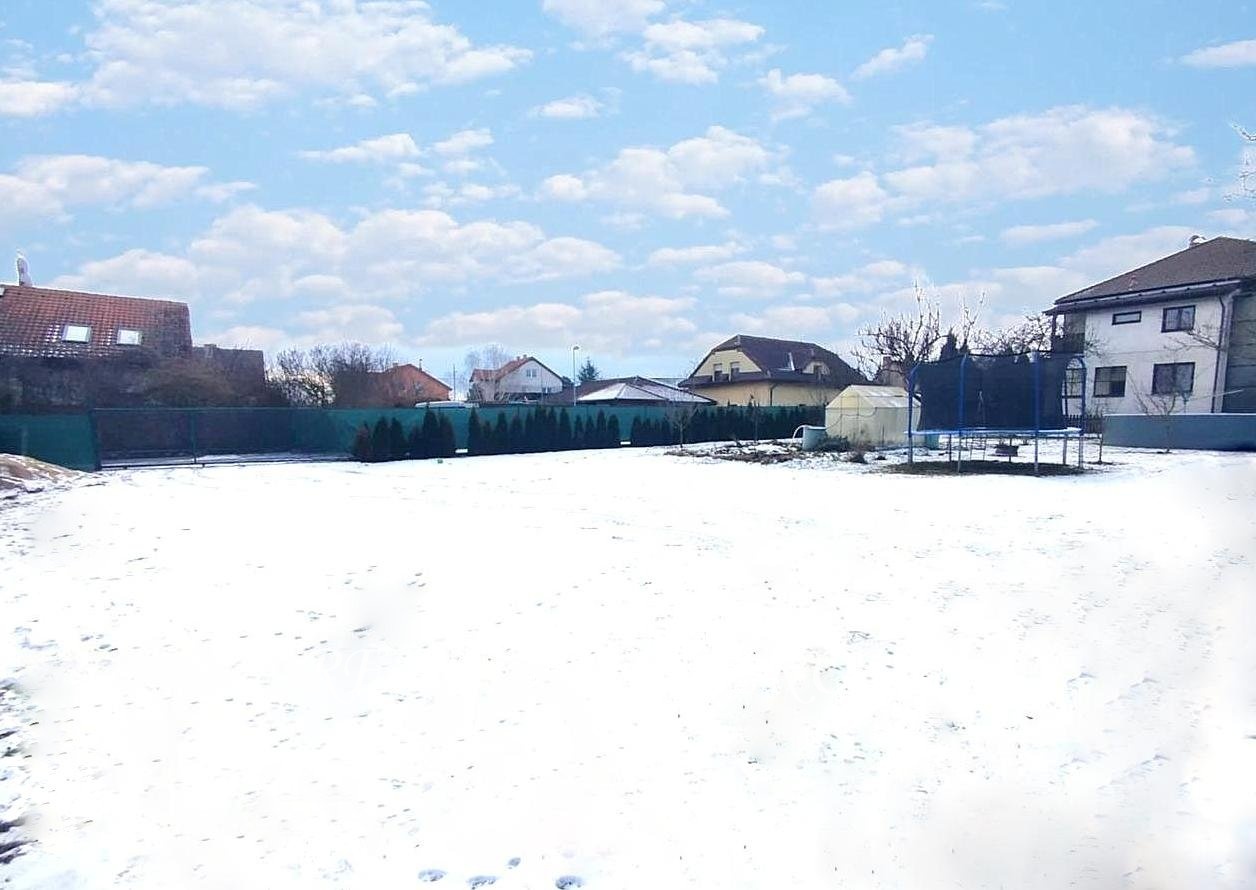 snapedit_1768139406547