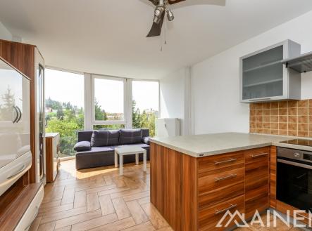 foto-07.jpg | Pronájem bytu, 2+kk, 40 m²