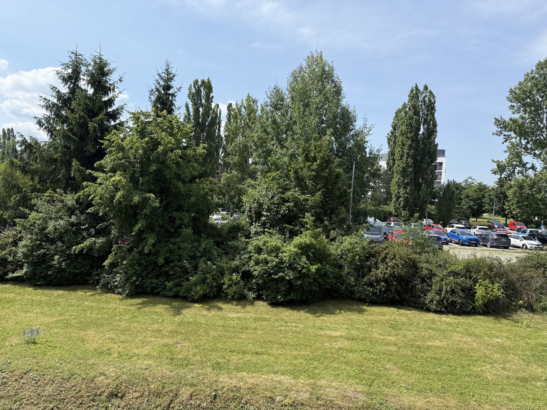 Prodej bytu 3+1/L, ul. Ke Kamínce, Praha 5 – Zbraslav