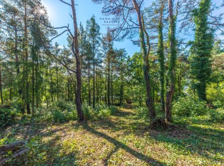 Prodej - pozemek pro bydlení, 3 248 m²