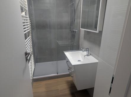 Koupelna | Pronájem bytu, 2+1, 58 m²