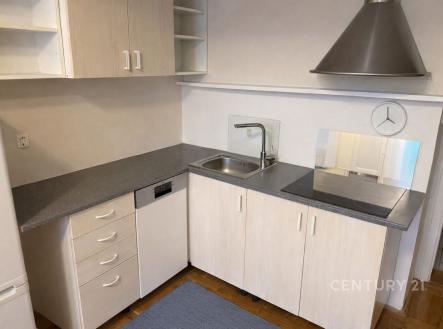 . | Pronájem bytu, 1+1, 47 m²