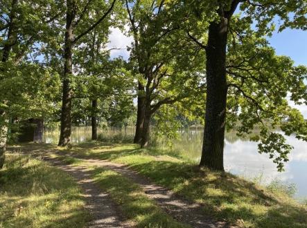 prodej-stavebniho-pozemku-na-okraji-lazenskeho-mesta-trebon-10-vychazkovy-okruh-1-c9a4d7 | Prodej - pozemek pro bydlení, 922 m²