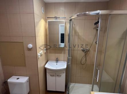 IMG_1584 | Pronájem bytu, 1+kk, 21 m²