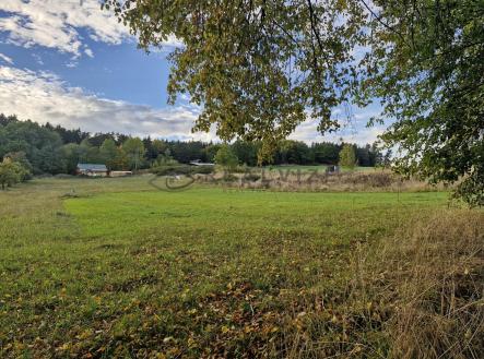 WhatsApp Image 2025-10-08 at 17.37.34 | Prodej - pozemek pro bydlení, 4 046 m²