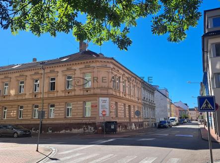 WhatsApp Image 2025-09-04 at 13.56.45 | Pronájem bytu, 1+kk, 36 m²