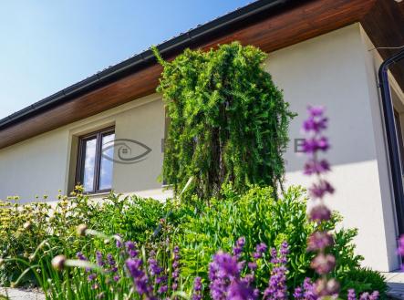 IMG_2814 | Prodej - dům/vila, 237 m²