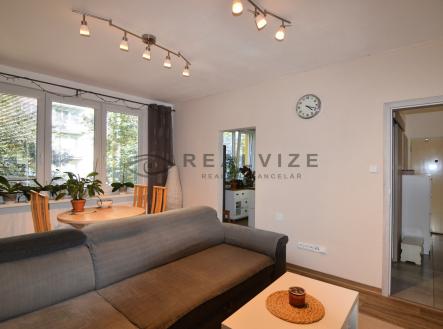 DSC_0042 | Pronájem bytu, 3+1, 67 m²