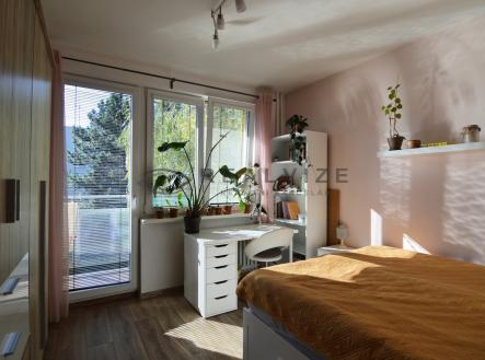 DSC_0013 | Pronájem bytu, 3+1, 67 m²