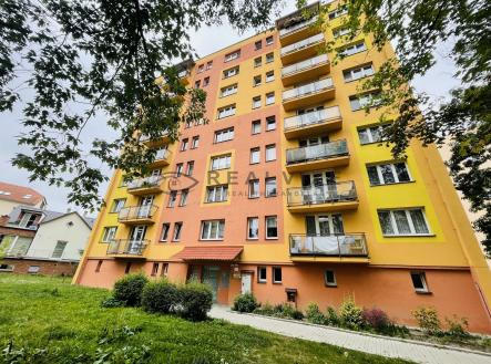 IMG_0841 | Pronájem bytu, 3+1, 66 m²