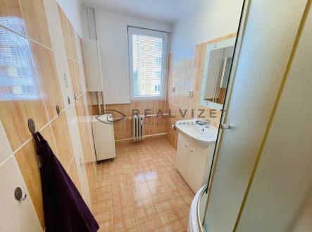 IMG_0819 | Pronájem bytu, 3+1, 66 m²