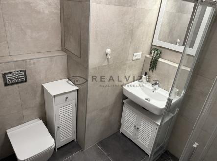 IMG_5028 (1) | Pronájem bytu, 1+kk, 40 m²