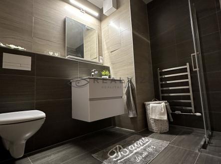 IMG_0829 | Pronájem bytu, 2+kk, 55 m²