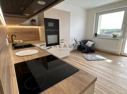 IMG_0819 | Pronájem bytu, 2+kk, 55 m²