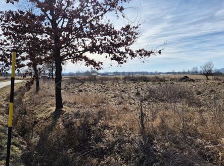 Čejkovice  3 | Prodej - pozemek pro bydlení, 1 055 m²