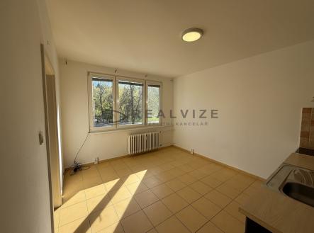 IMG_7477 | Pronájem bytu, 2+kk, 37 m²