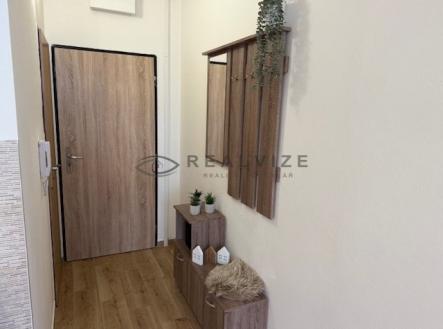 IMG_1019 | Pronájem bytu, 1+1, 36 m²