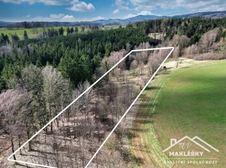 DJI_0972 | Prodej - pozemek, trvalý travní porost, 8 912 m²