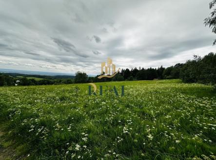 fotografie | Prodej - pozemek, trvalý travní porost, 14 803 m²