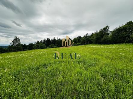 fotografie | Prodej - pozemek, trvalý travní porost, 14 803 m²