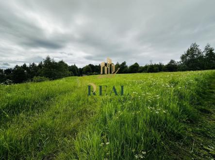 fotografie | Prodej - pozemek, trvalý travní porost, 14 803 m²